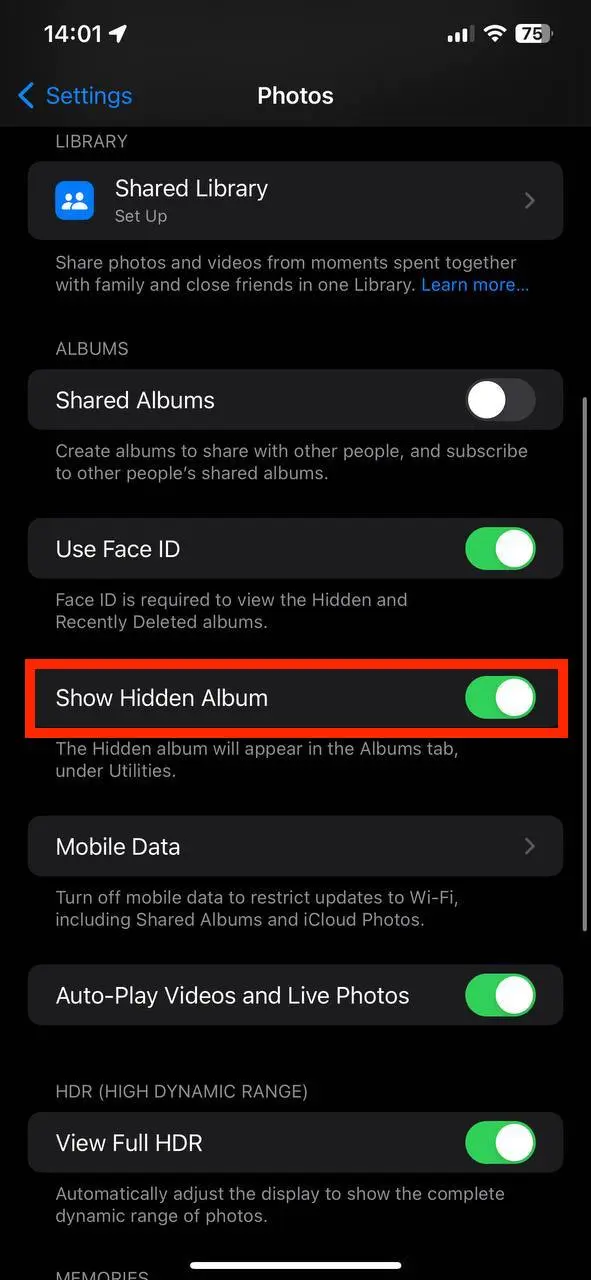 Enable the toggle under the Show Hidden Album option